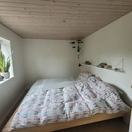 Byhus I Midtby Med Hyggelig Have * הרנינג